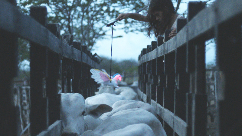 Neon Bull