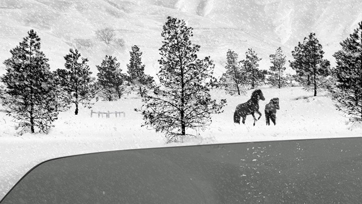 24 Frames Kiarostami