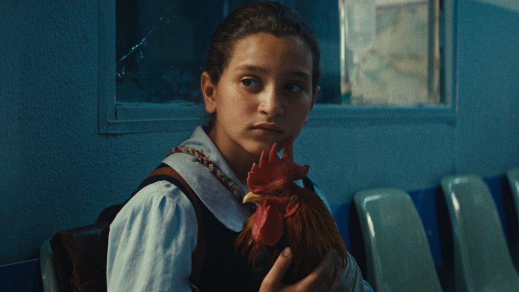A little Iraqi girl holds her pet cockerel in a scene from The President's Cake.